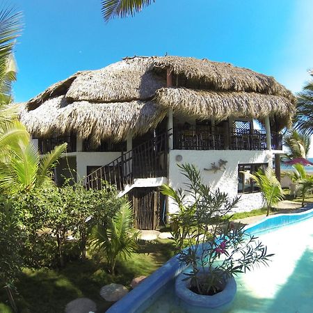 Marbella Eco Lodge モンテリコ エクステリア 写真