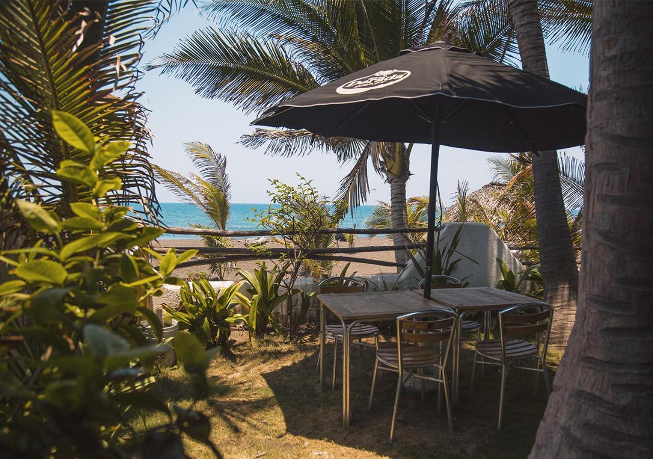 Marbella Eco Lodge モンテリコ エクステリア 写真