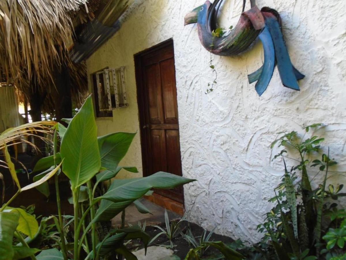 Marbella Eco Lodge モンテリコ エクステリア 写真