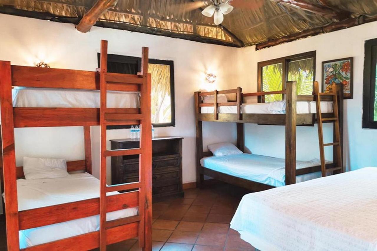Marbella Eco Lodge モンテリコ エクステリア 写真