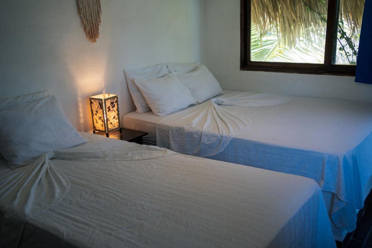 Marbella Eco Lodge モンテリコ エクステリア 写真