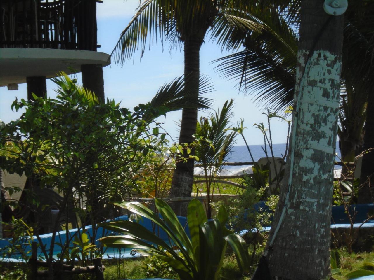 Marbella Eco Lodge モンテリコ エクステリア 写真