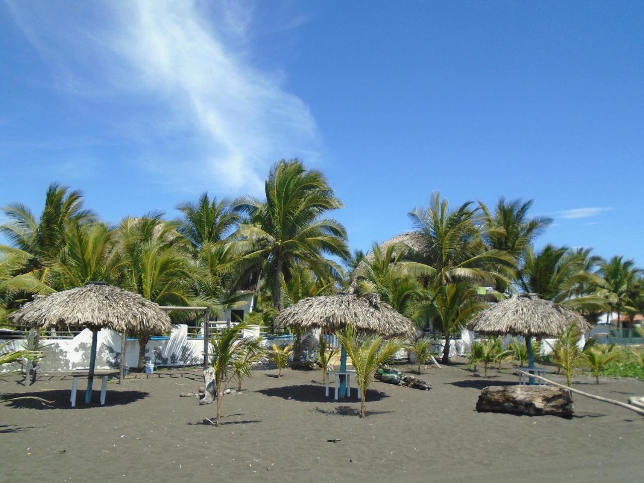Marbella Eco Lodge モンテリコ エクステリア 写真
